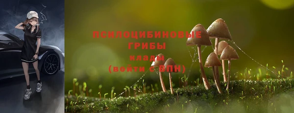 mix Алексеевка